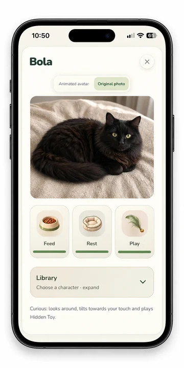 Original cat photo