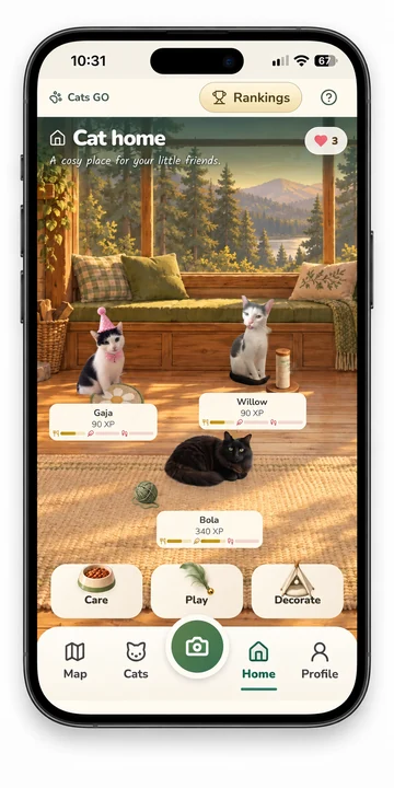 Cat Home