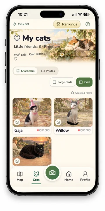 Cats GO screen: Finding your way around