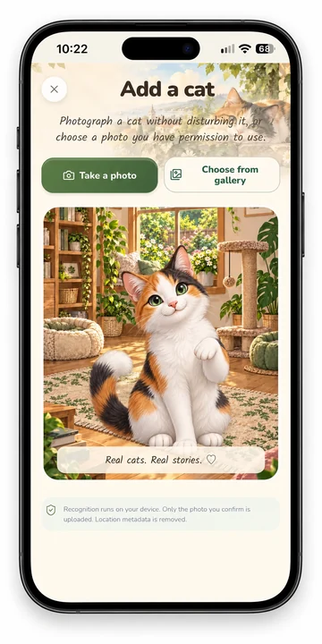 Cats GO screen: Start your collection