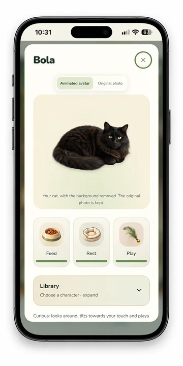 Cats GO screen: Care & friendship