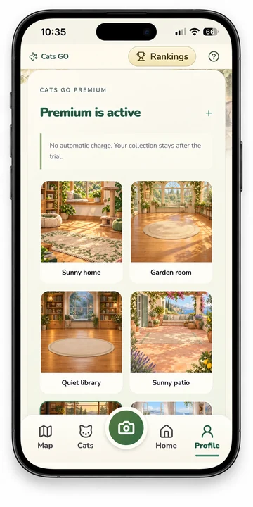 Cats GO screen: Free play, Premium & Paws