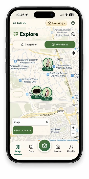 Cats GO screen: The worldwide map